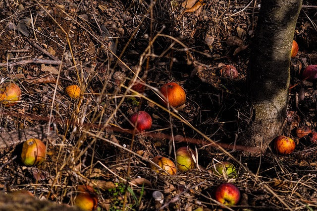 Composting