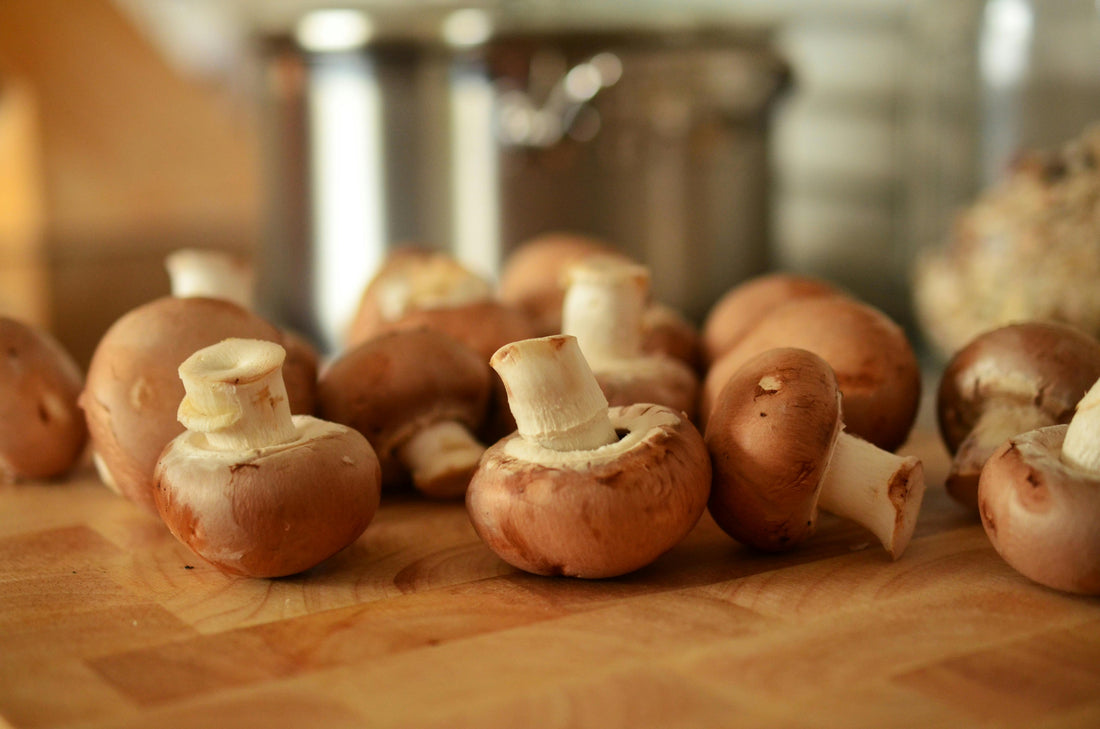 Mushroom Farming: How to Start a Profitable Venture in Just 300 Sq. Ft. Space