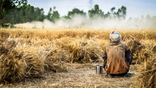 Strong Crops to Fight Climate Change in Indian Farming