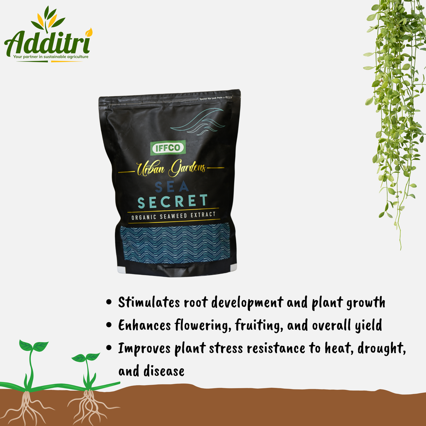 Sea Secret – Organic Seaweed Extract Fertilizer Granules (500 G)