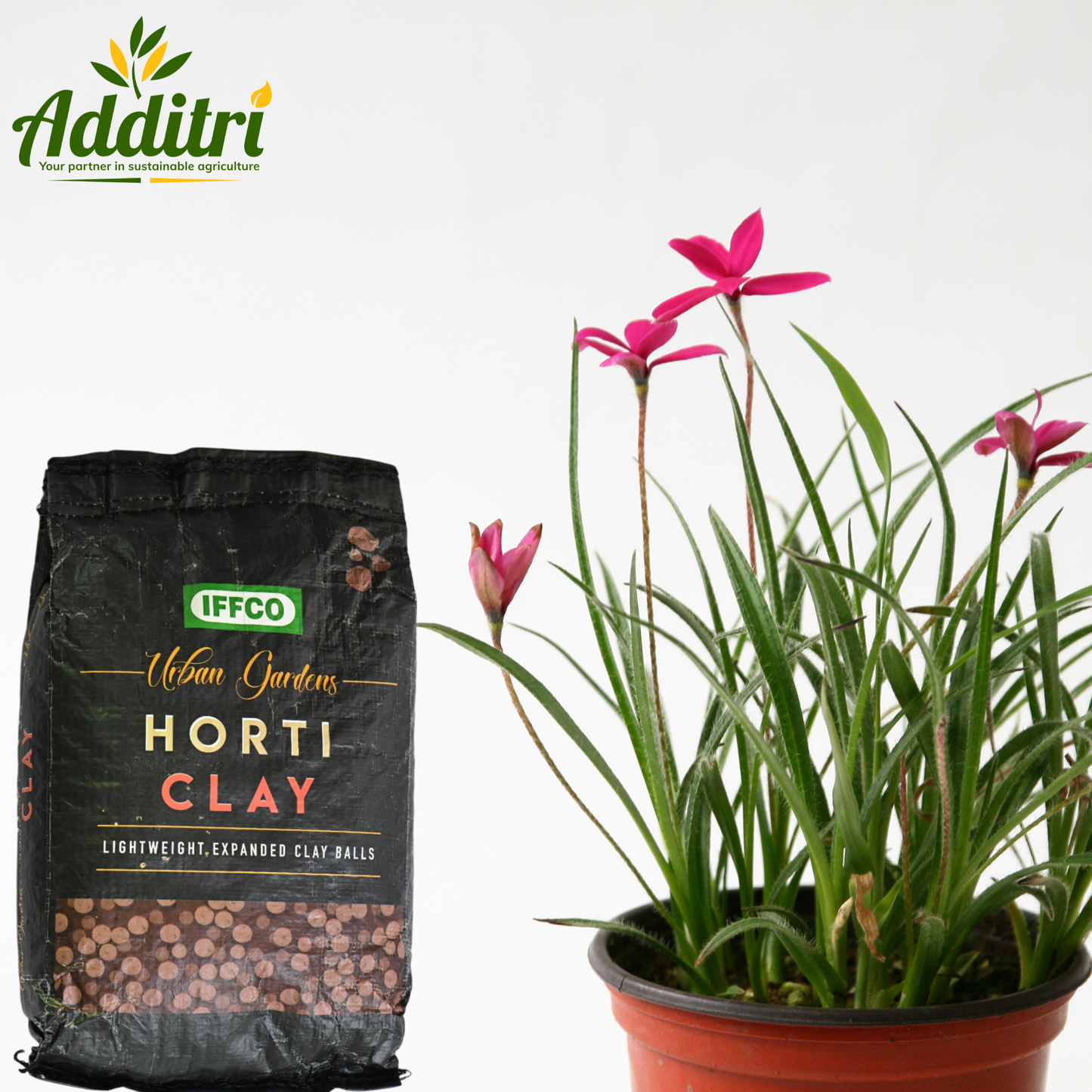 Horti Clay – Lightweight Expanded Clay Aggregate (LECA) for Plants