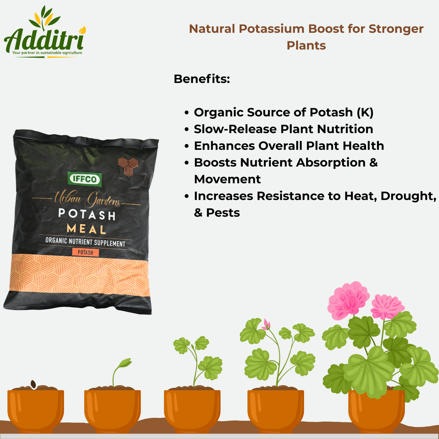 Iffco Potash Meal – Bio Potash Fertilizer Slow-Release Granules (900 G)