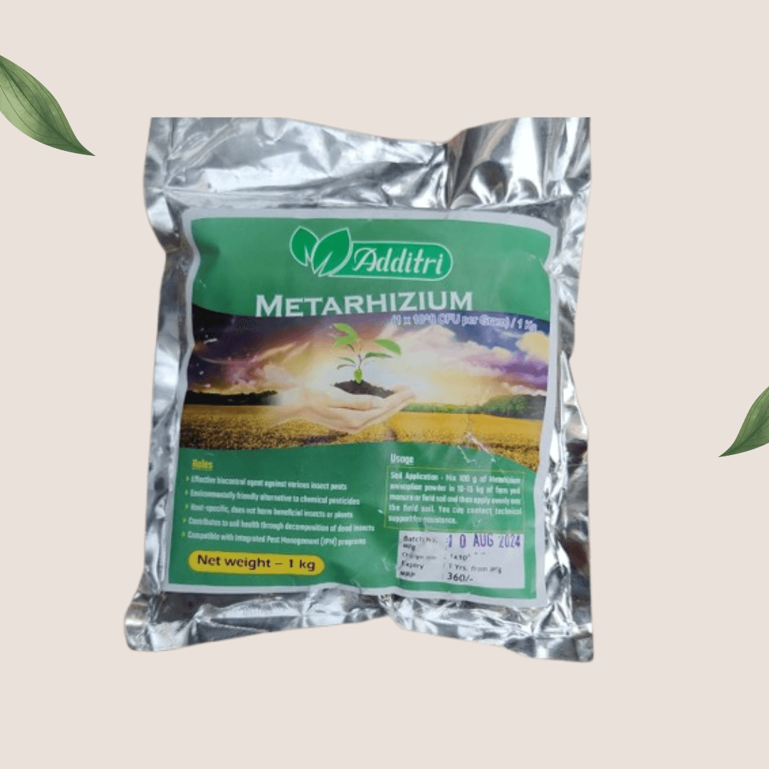 Metarhizium | Organic Bio-Insecticide for Pest Control & Crop Protection - Additri Agrotech and Allied Services