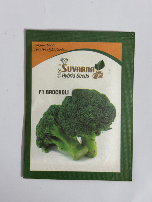 Broccoli Seeds – Grow Fresh & Healthy Superfood | Kitchen Garden