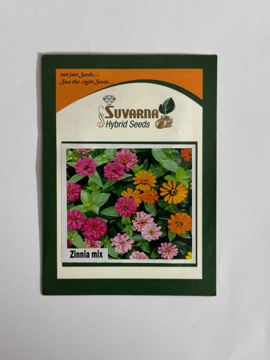 Zucchini Seeds – Easy to Grow Summer Squash | Kitchen Garden