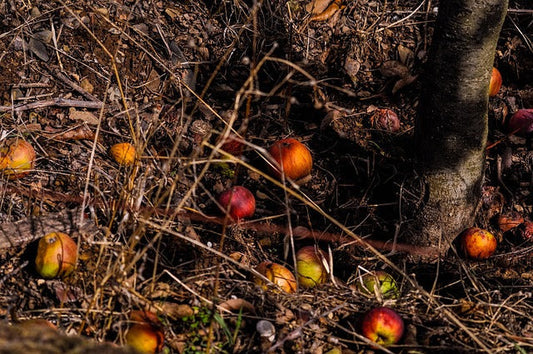 Composting