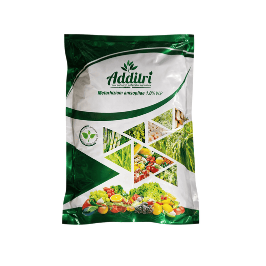 Metarhizium Anisopliae 1.0% WP: Natural Bio Insecticide