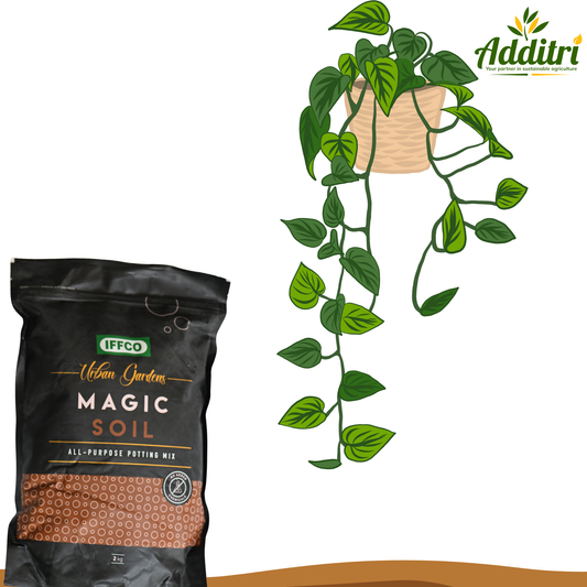 Magic Soil™ All-Purpose Potting Mix – Enriched Organic Soil for All Plants