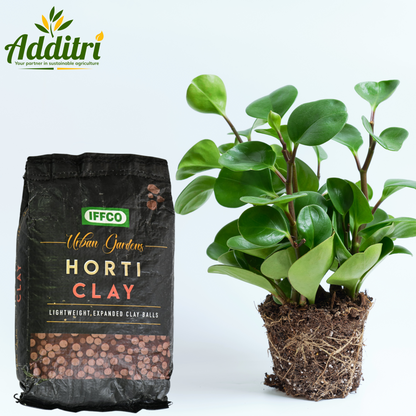 Horti Clay – Lightweight Expanded Clay Aggregate (LECA) for Plants
