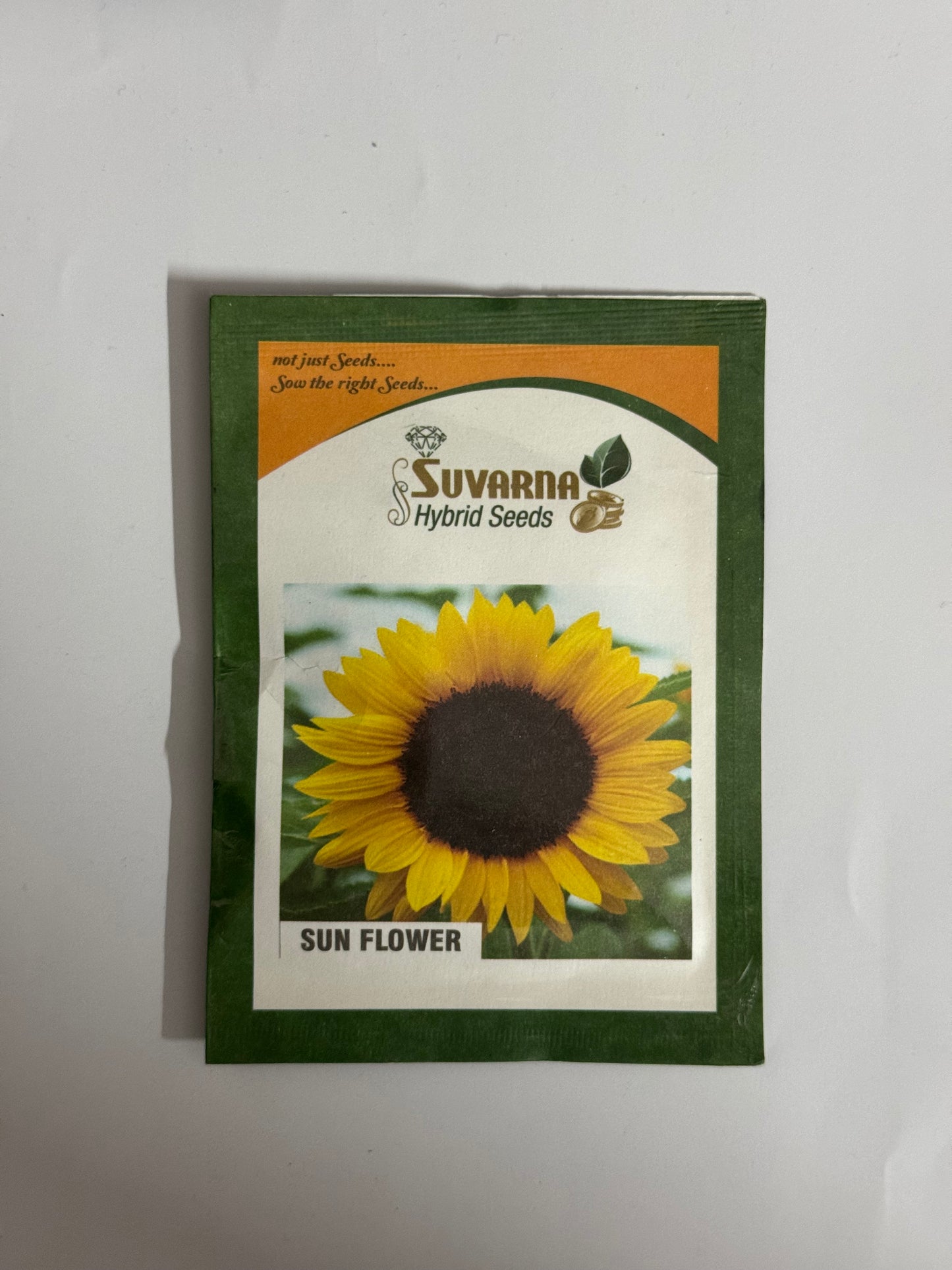 Sunflower Seeds – Bright & Tall Garden Flowers
